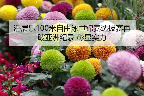 潘展乐100米自由泳世锦赛选拔赛再破亚洲纪录 彰显实力